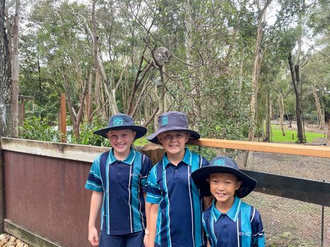 Year 3 Excursion Term 4 2021 13