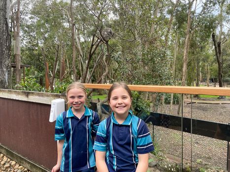 Year 3 Excursion Term 4 2021 17