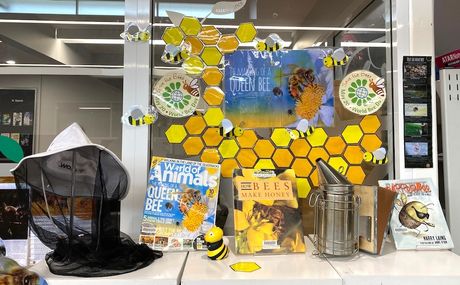Senior Bee Day Display 2022