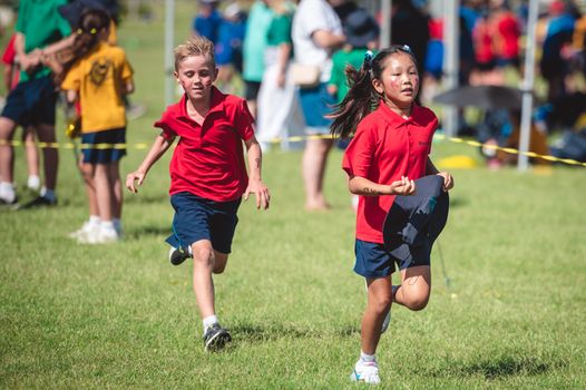Pm Primary Cross Country 8009