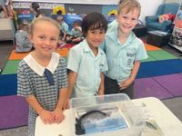 Pm Prep Sealife Incursion 9