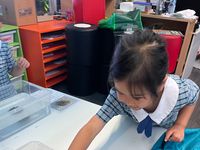 Pm Prep Sealife Incursion 10