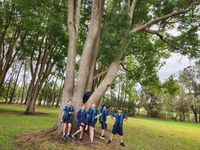 Pc Yr5 Botanical Excursion 13