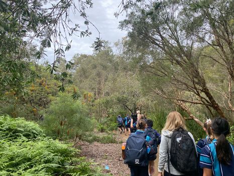 Pc Yr5 Botanical Excursion 14