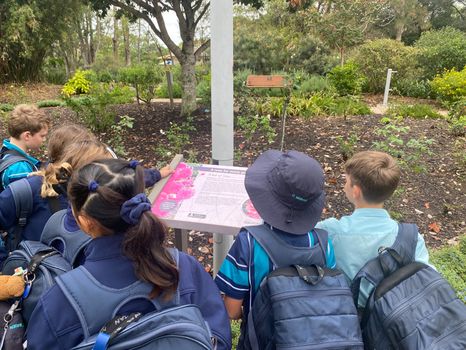 Pc Yr5 Botanical Excursion 2