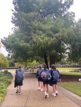 Pc Yr5 Botanical Excursion 3