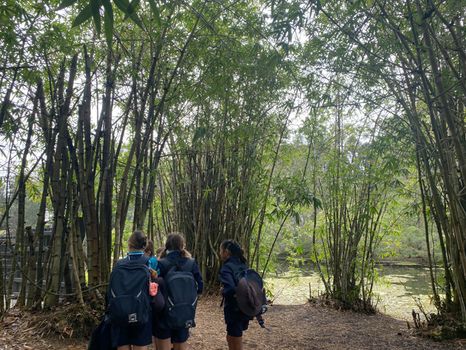 Pc Yr5 Botanical Excursion 7