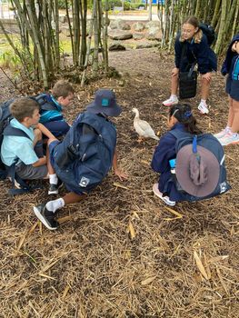 Pc Yr5 Botanical Excursion 8