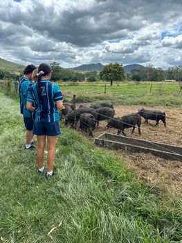 Year 11 Farm Excursion 2023 5