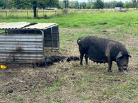 Year 11 Farm Excursion 2023 6