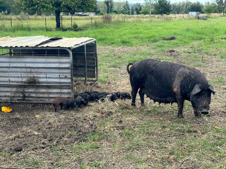 Year 11 Farm Excursion 2023 6