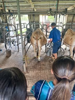 Year 11 Farm Excursion 2023 2