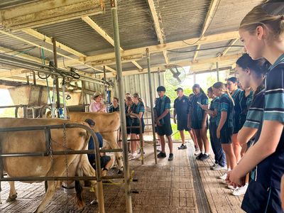 Year 11 Farm Excursion 2023