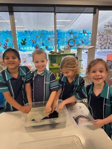 Prep Ocean Life 4