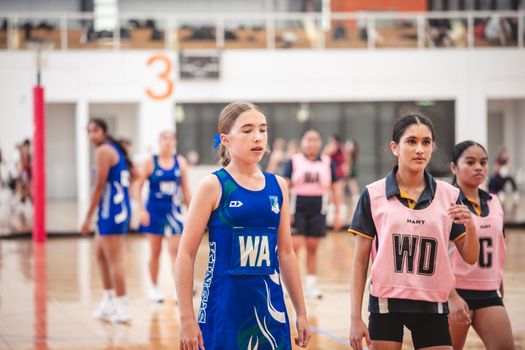 PMA Netball Titans 3099