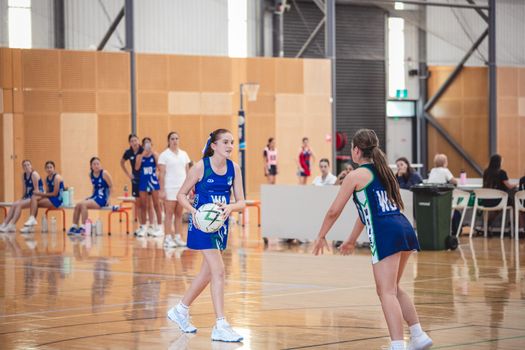 PMA Netball Titans 3124