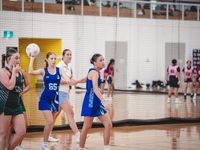 PMA Netball Titans 3141