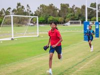 PMA Cross Country 1136