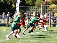 PS Athletics 7 news