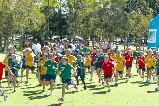 PS X Country 2