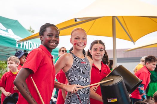 Primary Swin 8486 copy