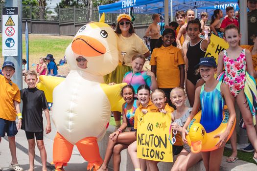 Primary Swin 8528 copy