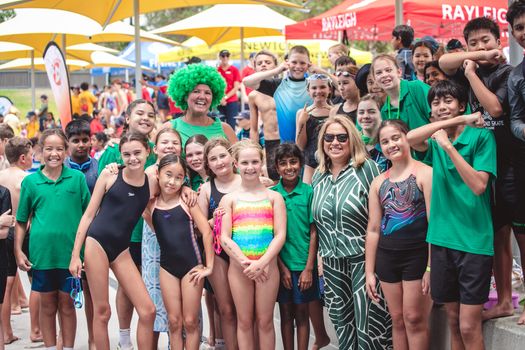 Primary Swin 8538 copy