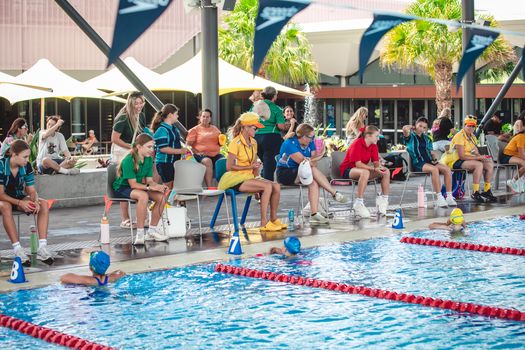 Primary Swin 8566 copy