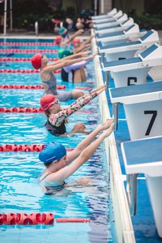 Primary Swin 8604 copy