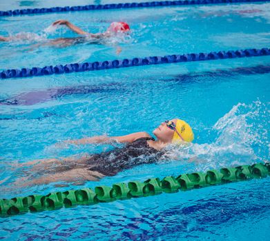 Primary Swin 8619 copy