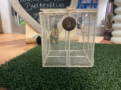 RC ELC Wild Rangers 4790