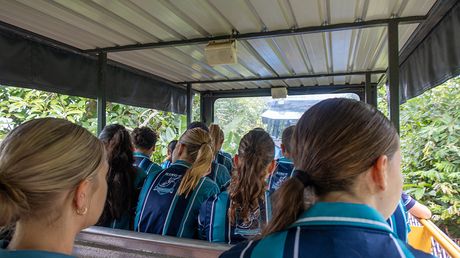 RC HS FTTD Excursion 03 01 26 9963