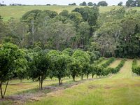 RC HS FTTD Excursion 03 01 26 9968