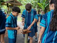 RC HS FTTD Excursion 03 01 26 9971