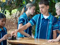 RC HS FTTD Excursion 03 01 26 9977