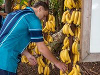 RC HS FTTD Excursion 03 01 26 9976