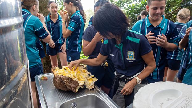 RC HS FTTD Excursion 03 01 26 9981