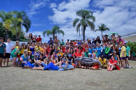 U6 A5538 Medium Harry Free