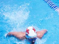 U6 A5786 Medium Harry Free