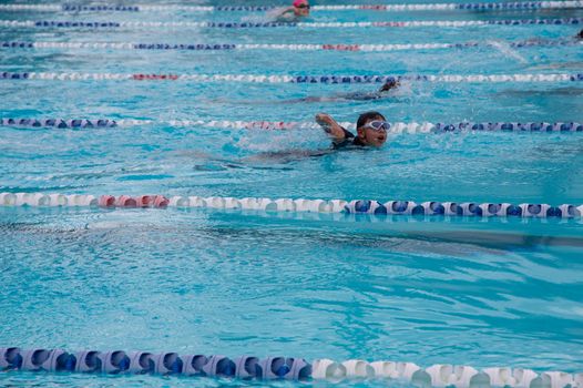 Year 4 8 swimming carnival 1681