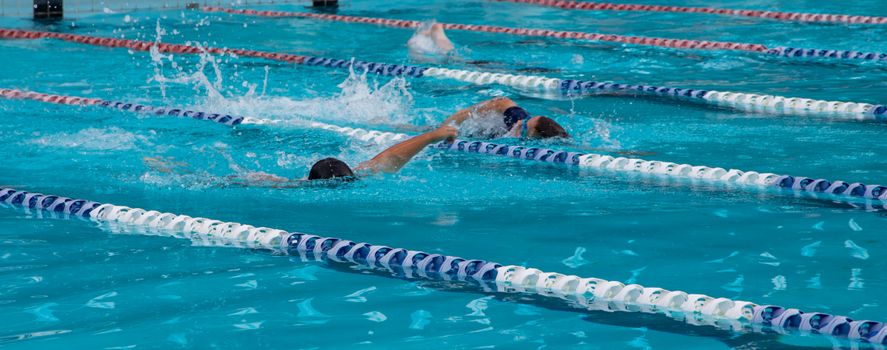 Year 4 8 swimming carnival 1682