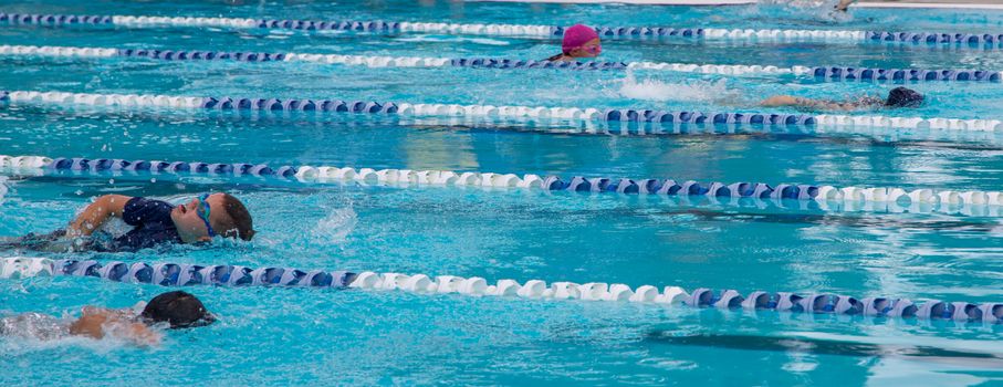 Year 4 8 swimming carnival 1684