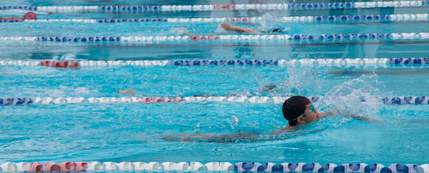 Year 4 8 swimming carnival 1685