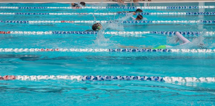 Year 4 8 swimming carnival 1690