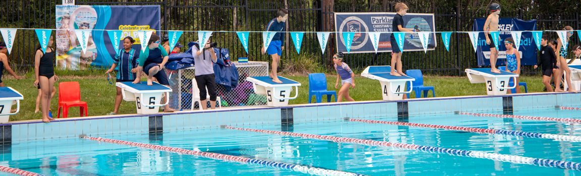 Year 4 8 swimming carnival 1692