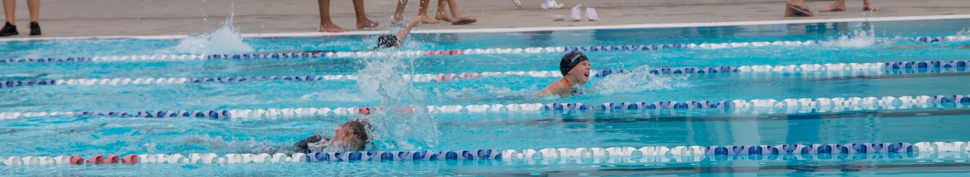 Year 4 8 swimming carnival 1695