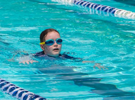 Year 4 8 swimming carnival 1745