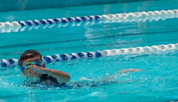 Year 4 8 swimming carnival 1760