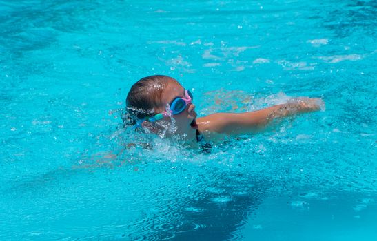 Year 4 8 swimming carnival 1769