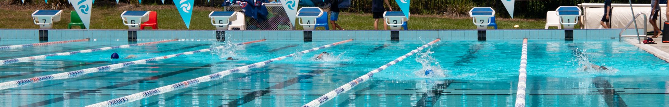 Year 4 8 swimming carnival 1773